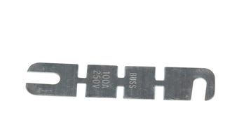 Fuse, 100A 12V