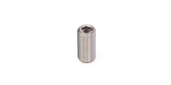 Stainless Steel Screw M10x1x25 DIN 913