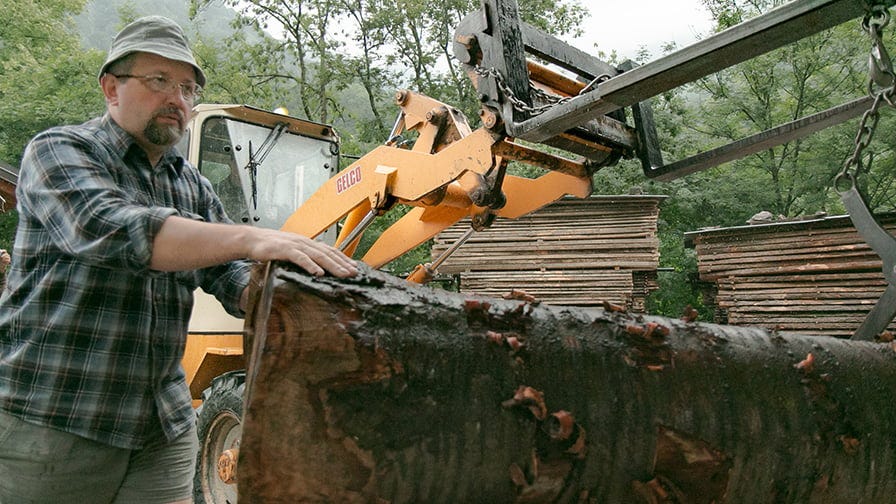 Logs come from Switzerland or locally from the mountain valleys